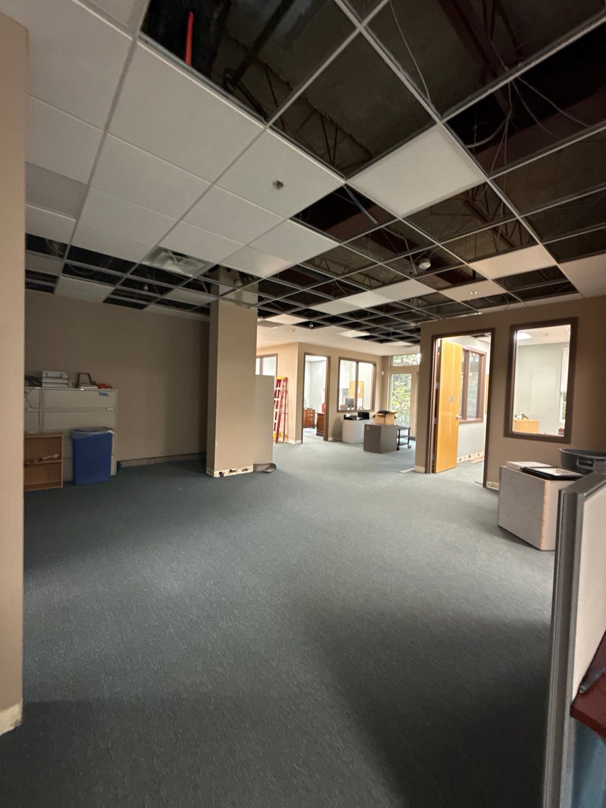 After restoration: commercial office water damage dry-out on a documented Tysons, VA restoration project by Restoration Doctor.